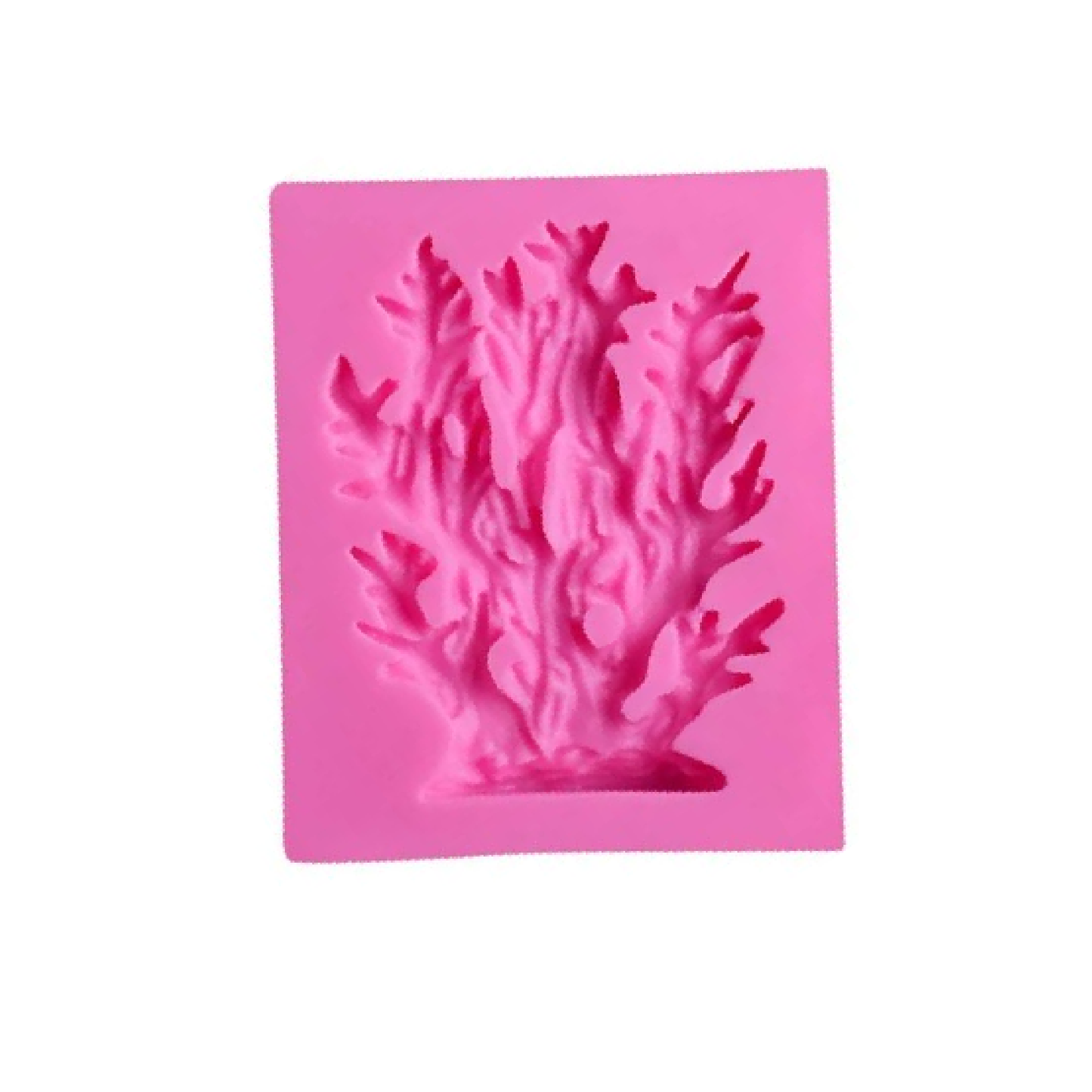 Molde de algas coralinas de silicona